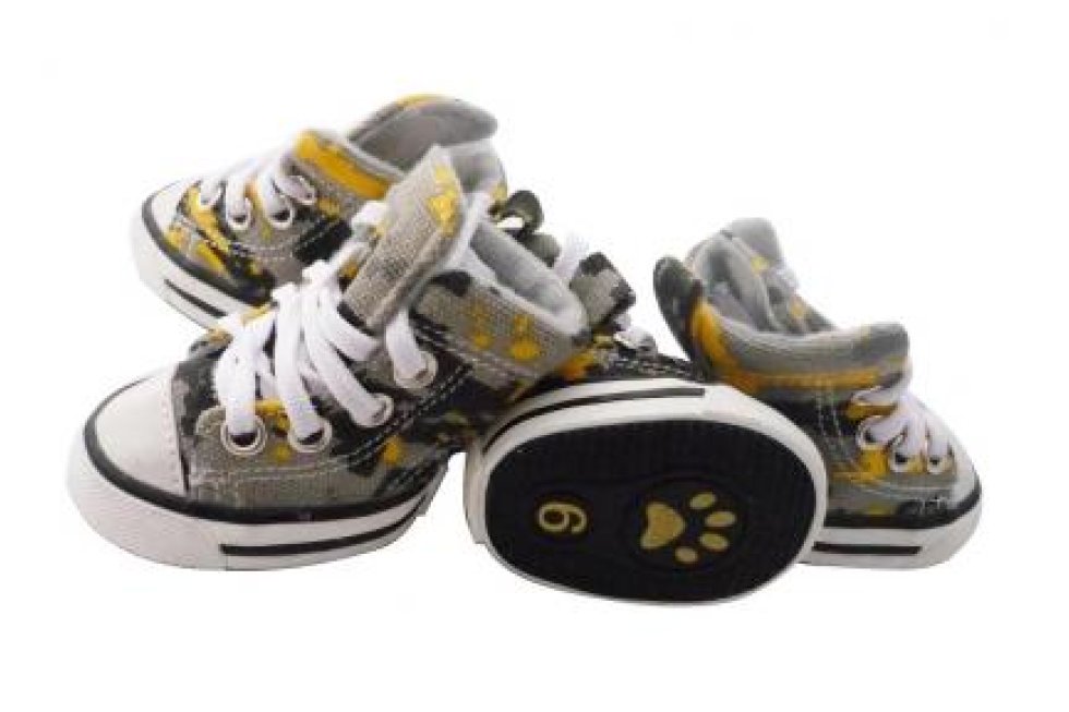 4 Schoentjes AS mt8