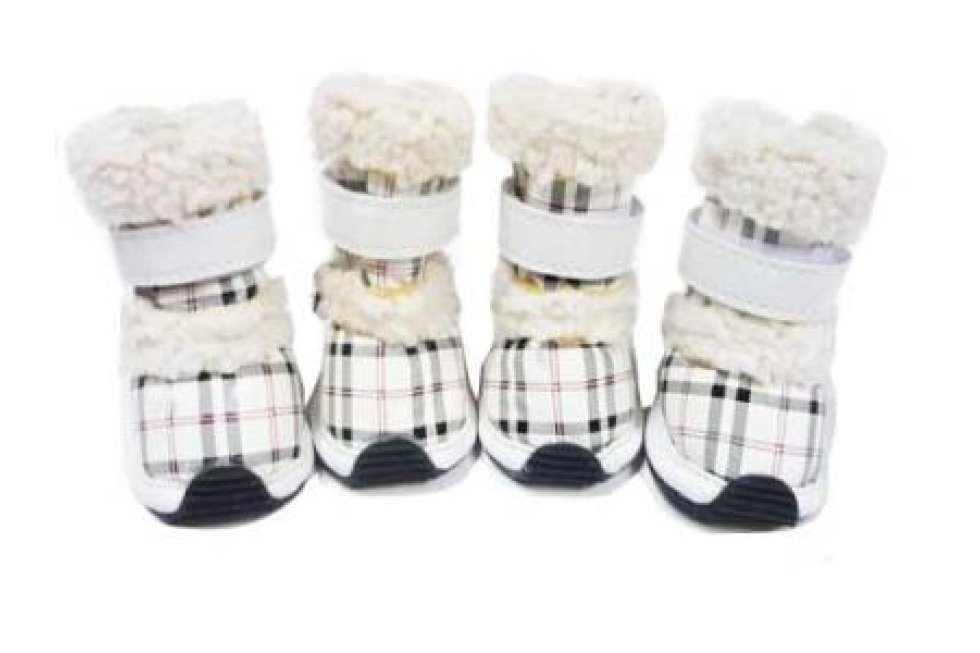 4 Schoentjes Burberry mt6