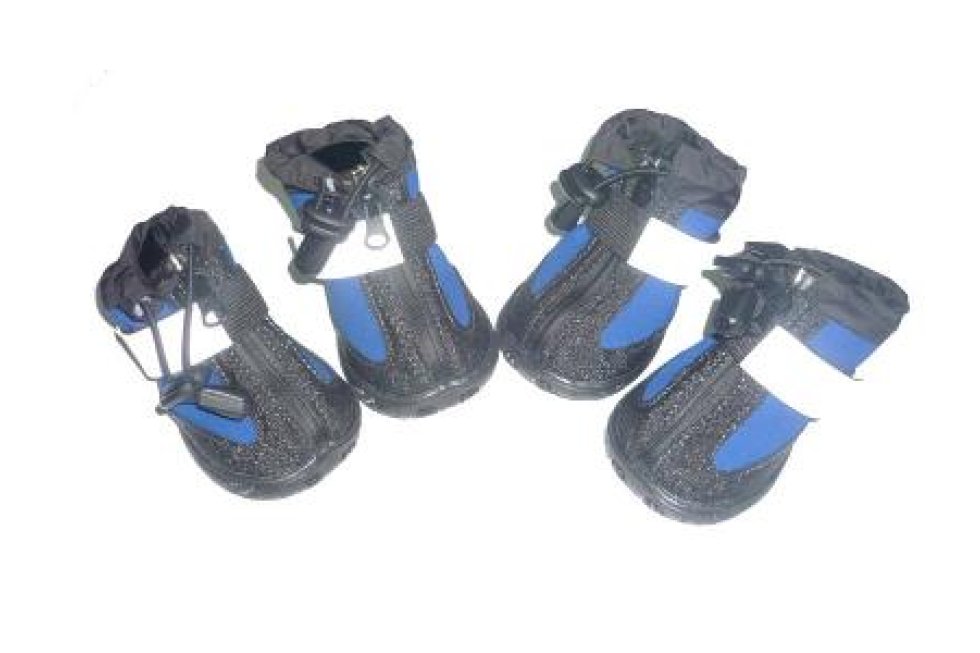 4 Schoentjes Neopr. mt9