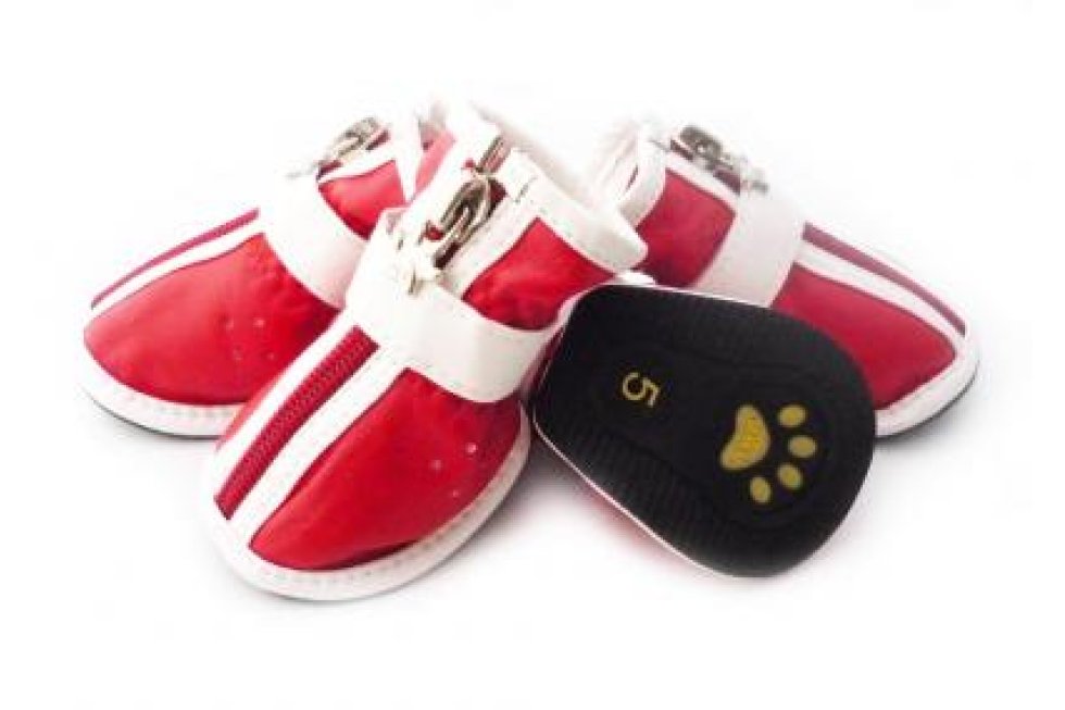 4 Schoentjes rood mt3
