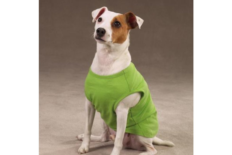 Basic shirt groen S