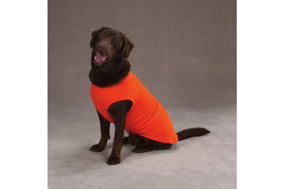 Basic shirt oranje XS