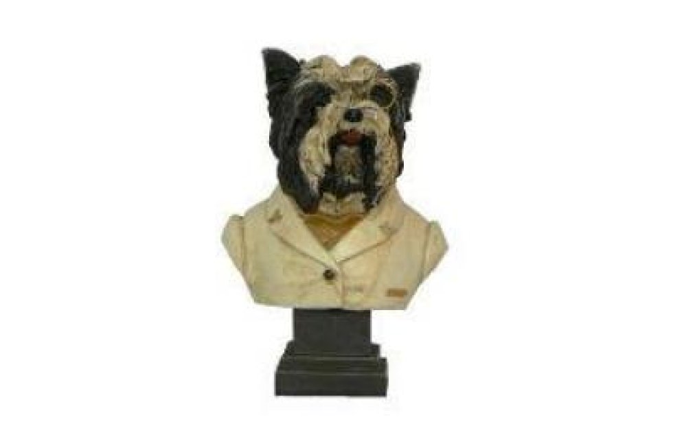 B.Cairn/Westie groot