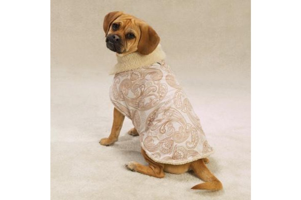 Beige Coze Cape mt S