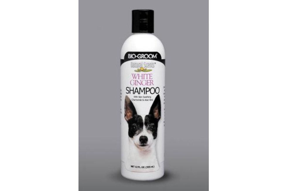Bio Groom Wh. Ginger 355ml Sh.