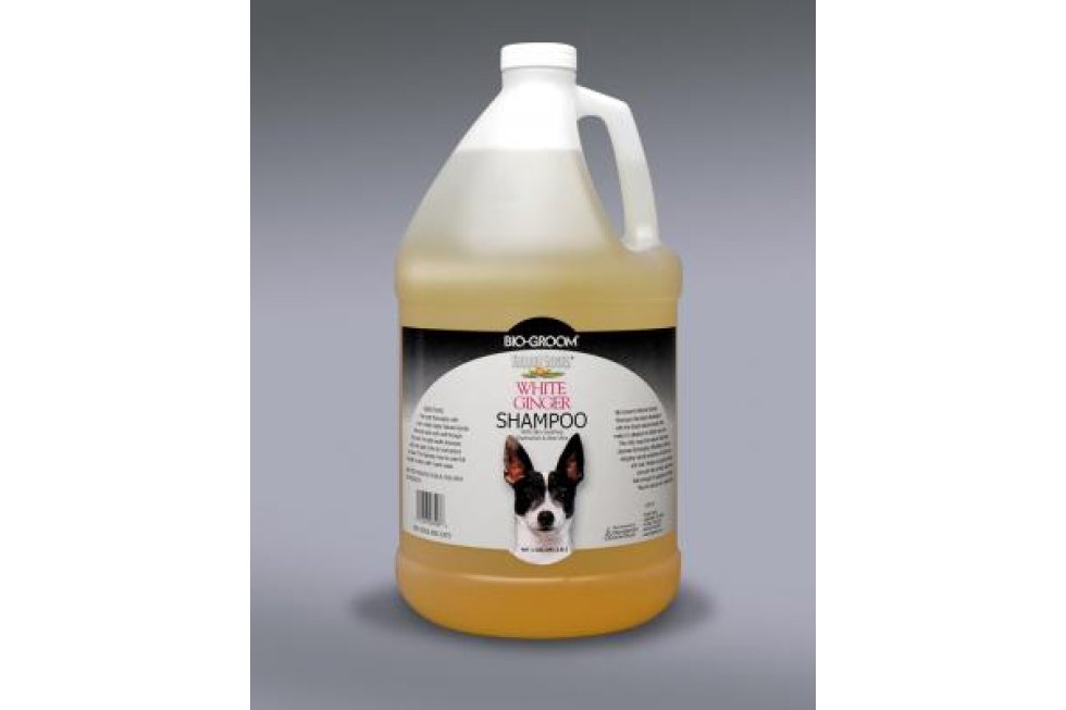 Bio Groom Wh. Ginger 3,8 ltr Sh