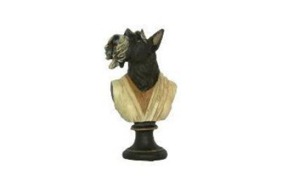 B.Terrier medium