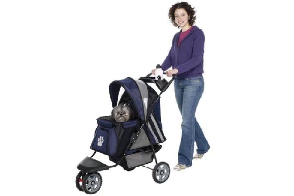 Buggy RD Blauw
