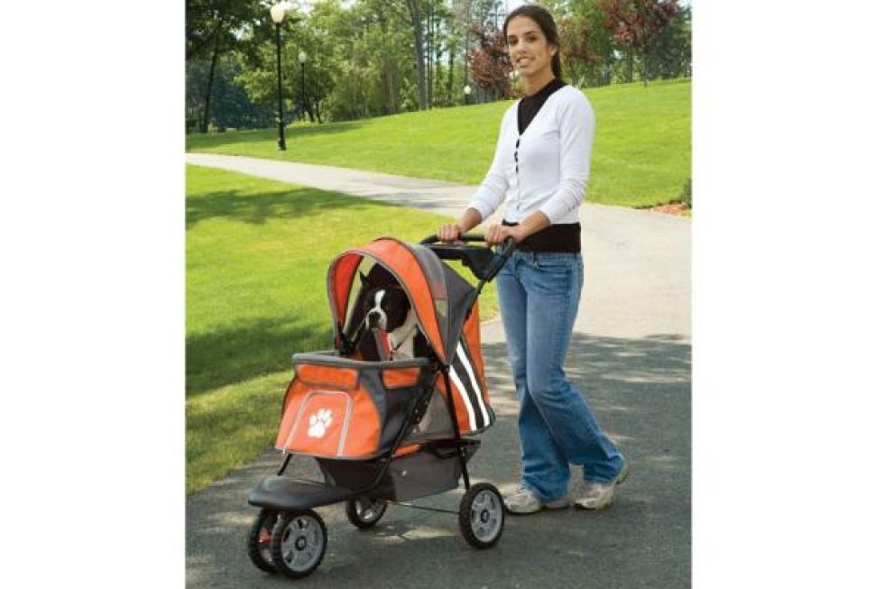 Buggy RD Oranje