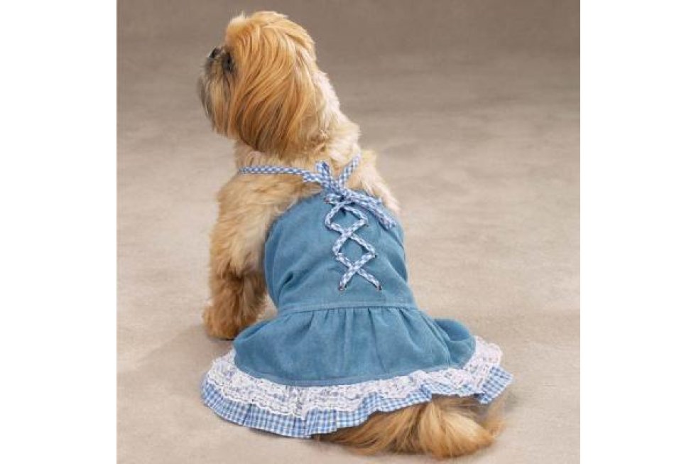 Daisy Mae mt blauw M