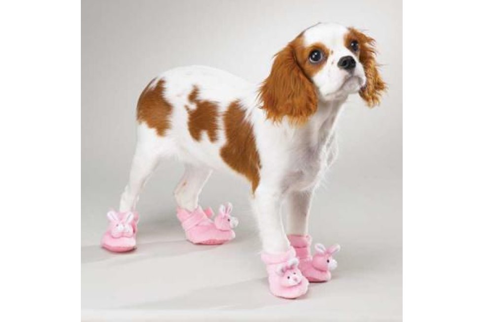 Doggy slippers roze XS p/4
