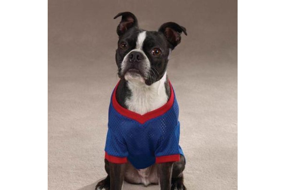 Football Jersey S