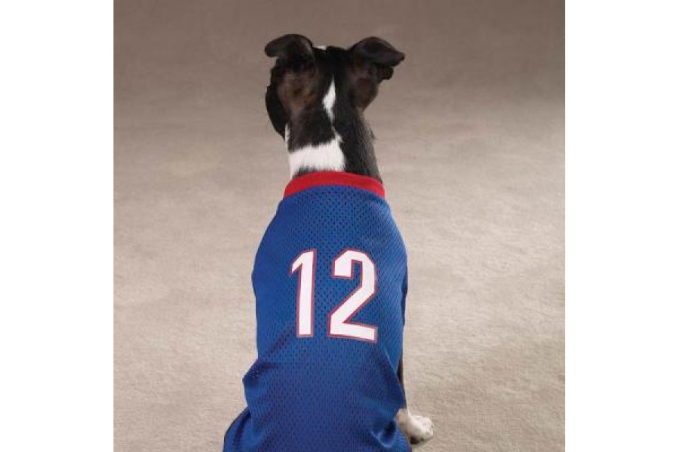 Football Jersey XS