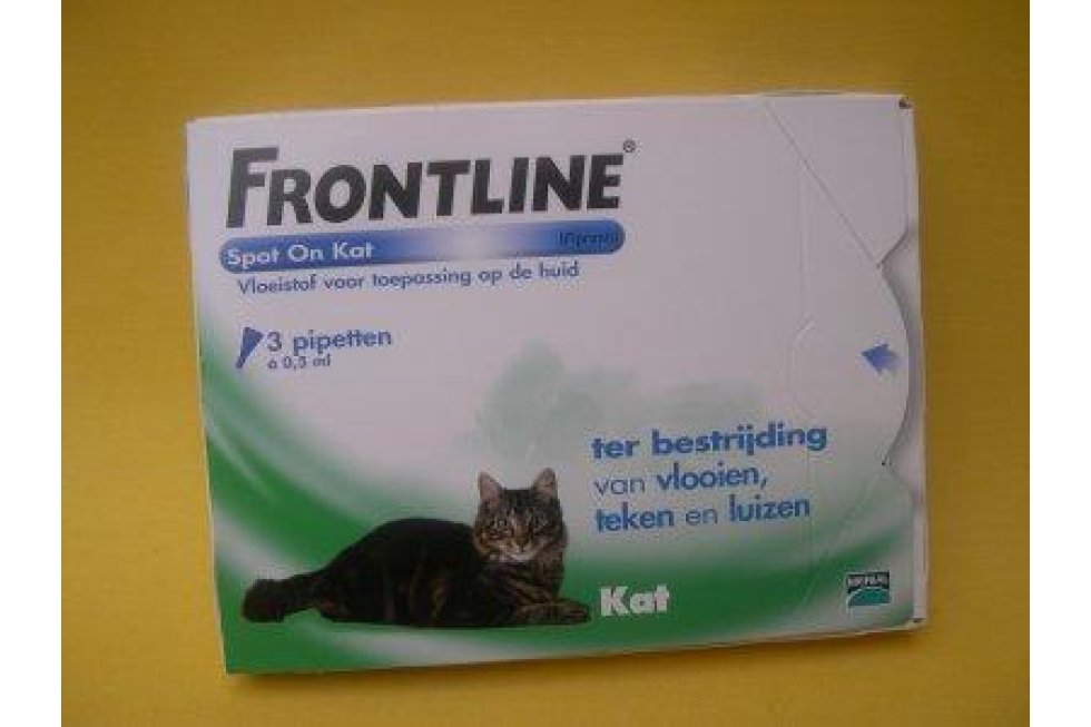 Frontline Kat