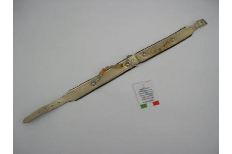 Halsband goud lakop zwart leer