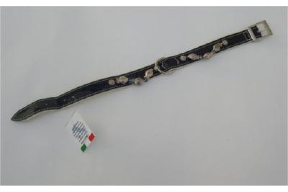 Halsband paars lak/leer