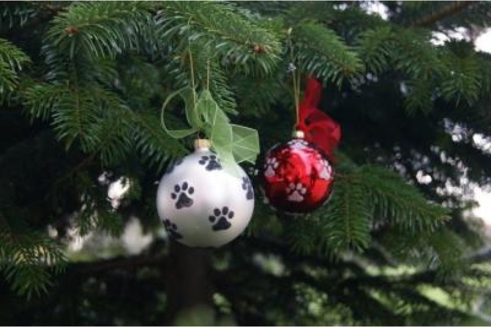 Kerstbal mix 50% p/6