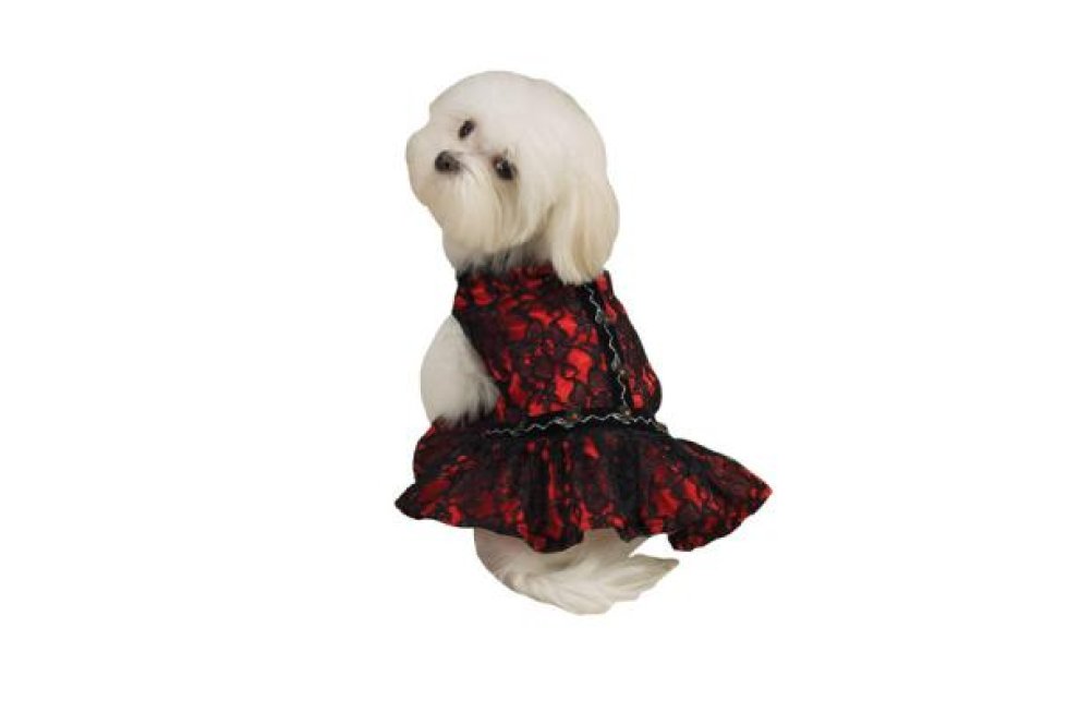 Lace Flamenco rood mt S