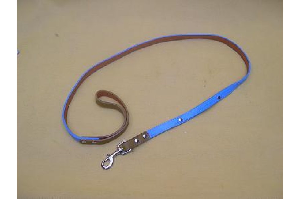 Lijn voor strass riem blauw