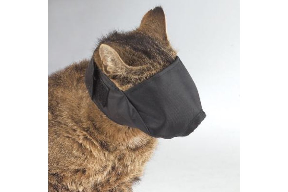 Muilkorf voor katten Medium