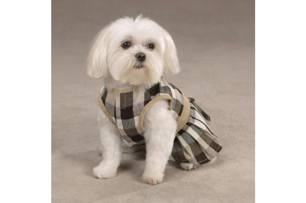 Paw Pl. Checkered Sundress M