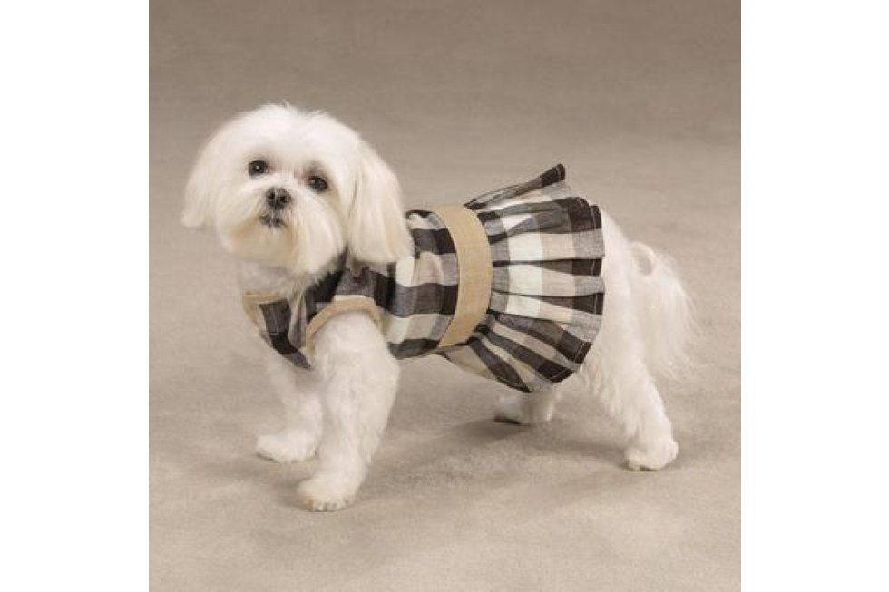 Paw Pl. Checkered Sundress M