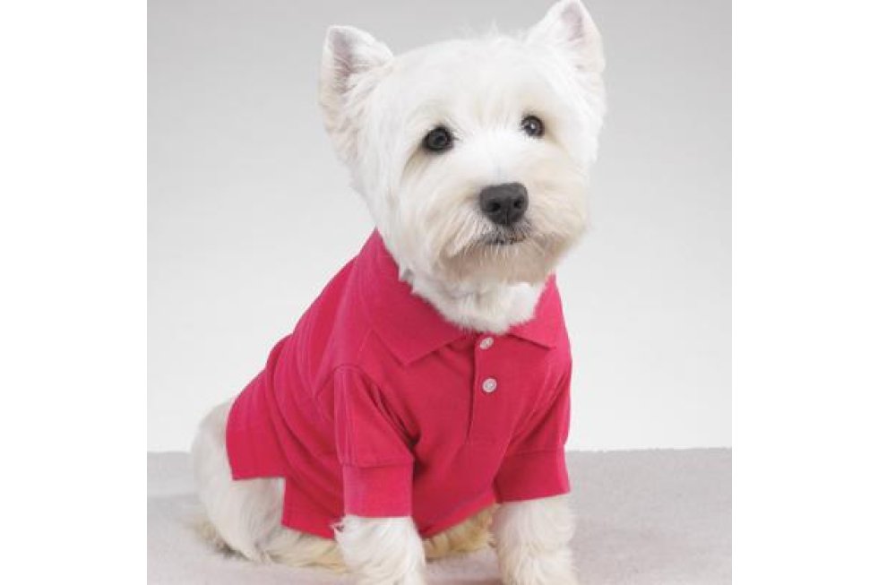 Polo fuchsia mt XS