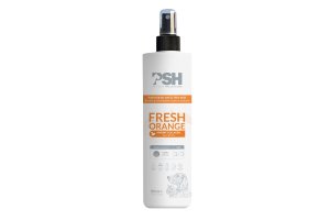 psh-fresh-orange-mist-300ml