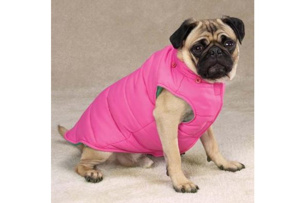 Puffy Vest mt L