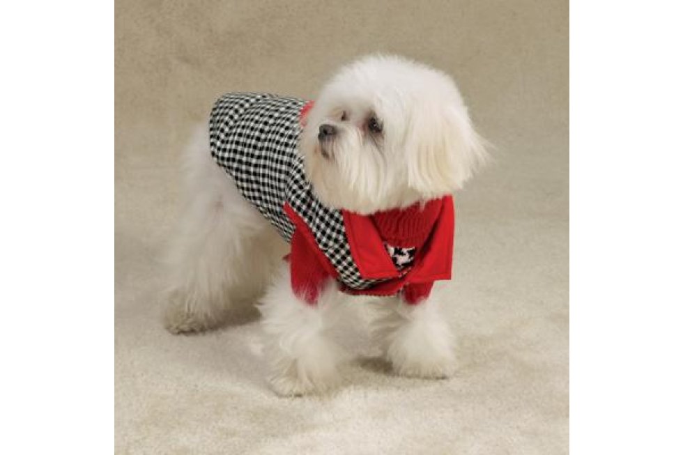 Rev. vest Puppy Love mt XS