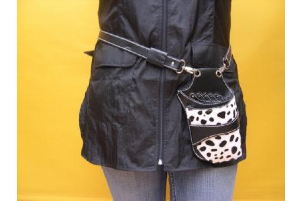 Scharenholster Dalmatier