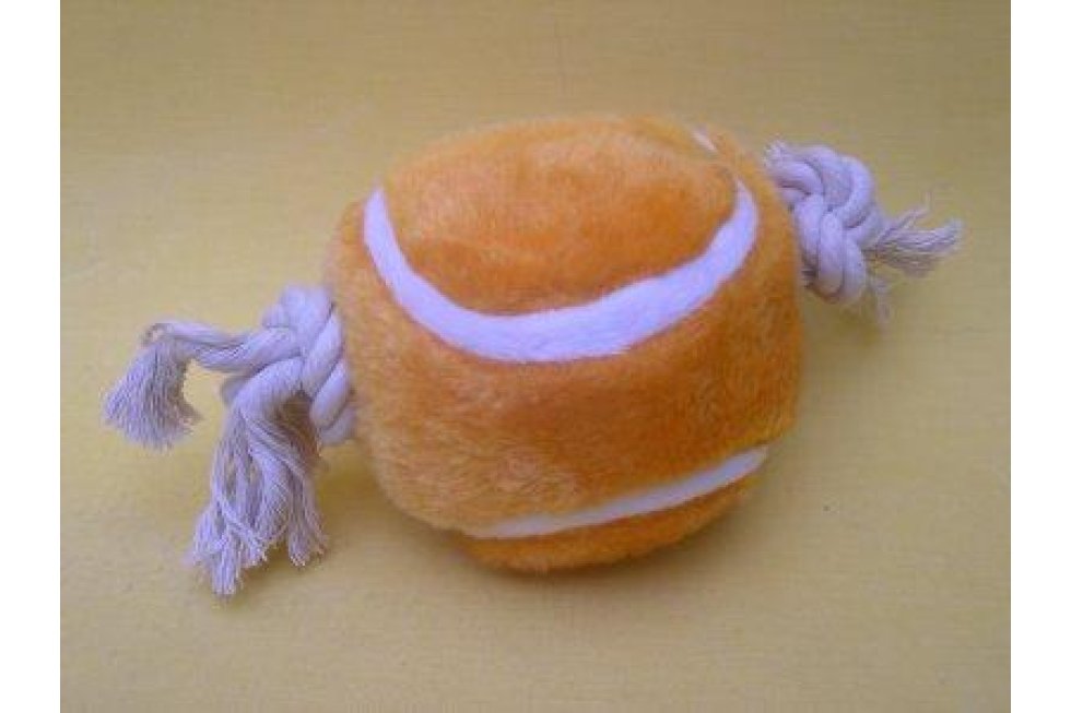 Softbal met touw