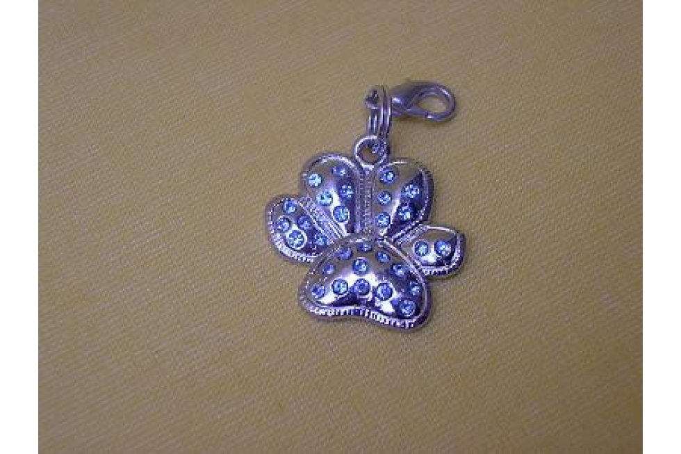 Strass pootje blauw hang