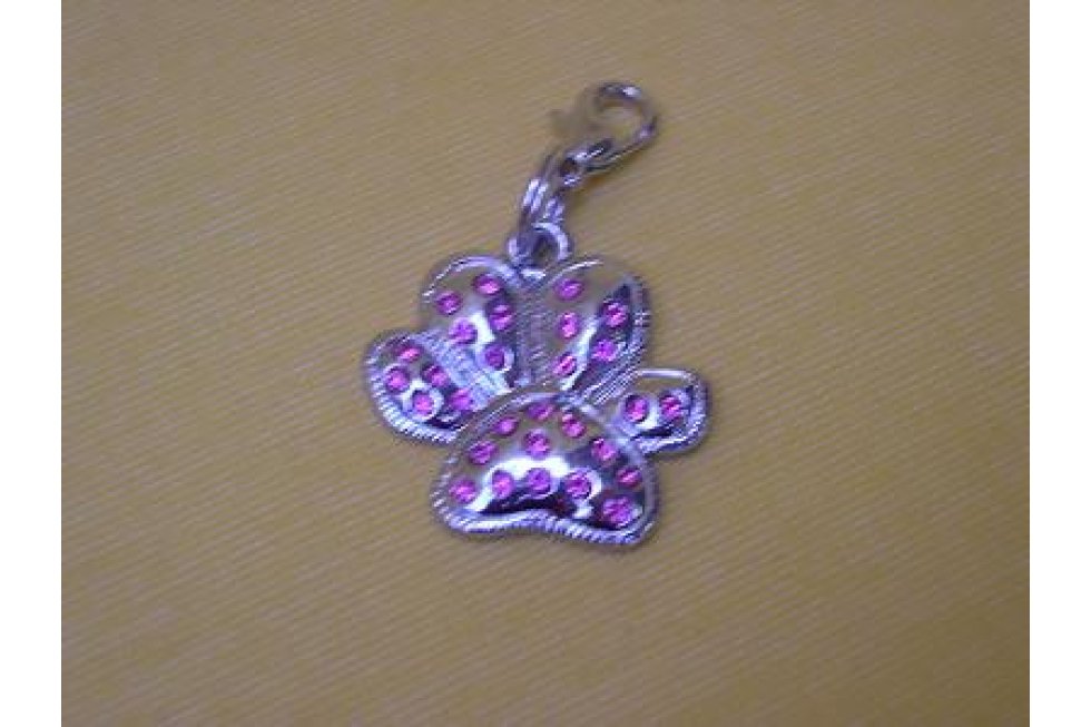 Strass pootje roze hang