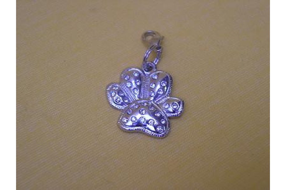 Strass pootje zilver hang