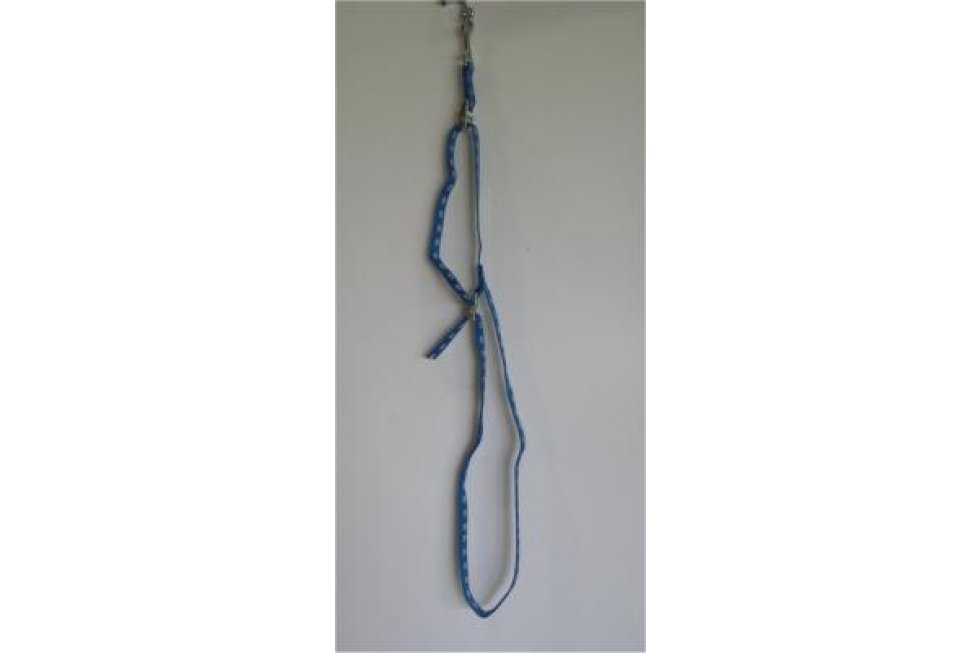 Trimhuur Buikband blauw poot