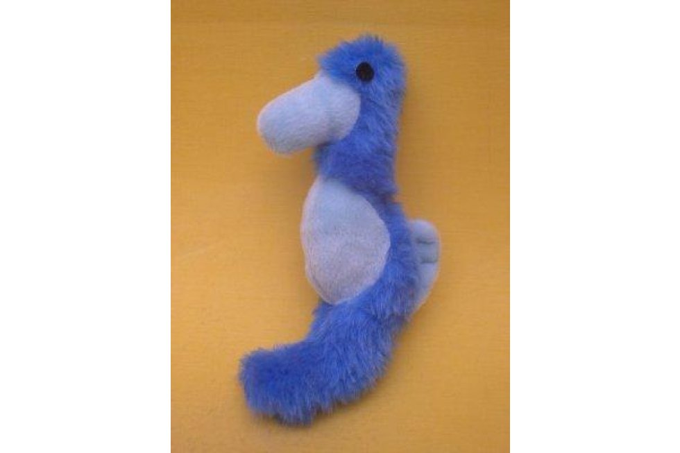 Zeepaard