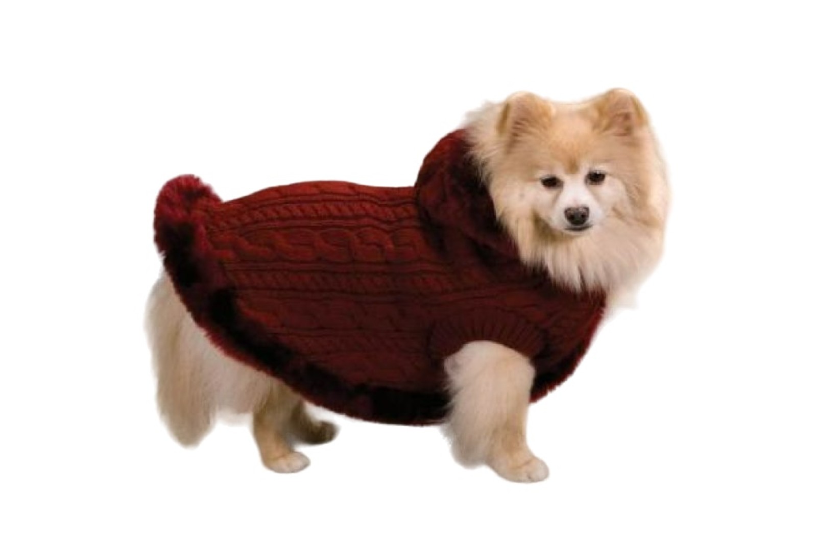 Poncho bordeaux mt XS