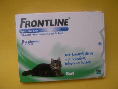 Frontline Kat
