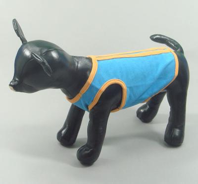 Blue stripe mtXS