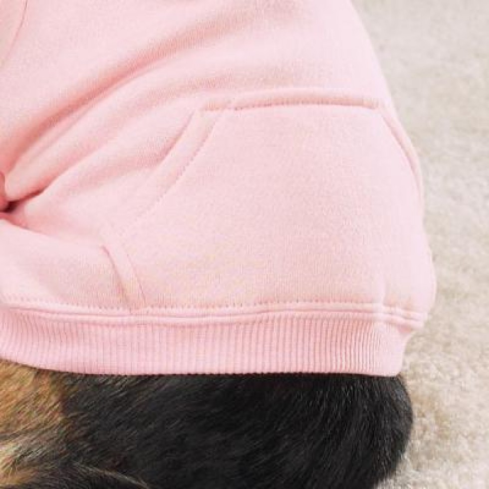 Hoodie Roze mt S