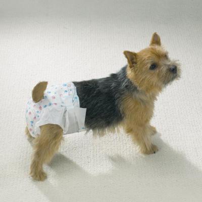 Honden luier  10st. medium