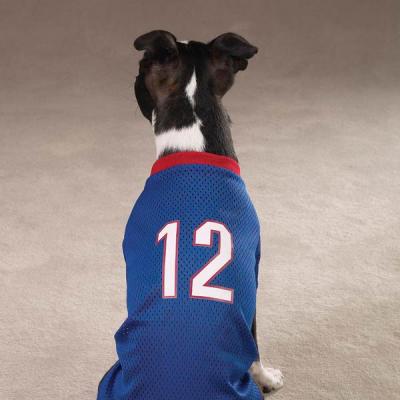 Football Jersey XS