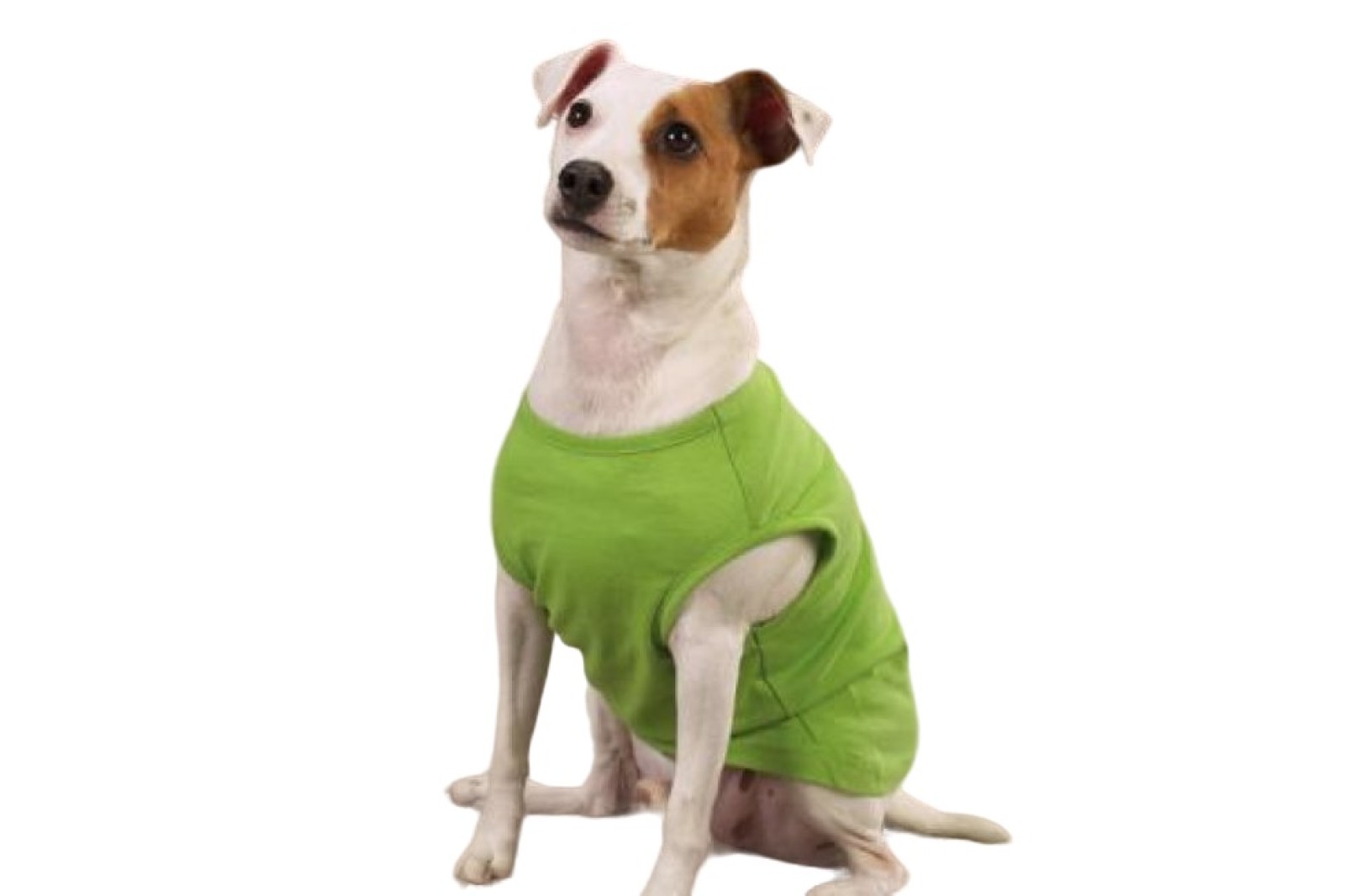Basic shirt groen L