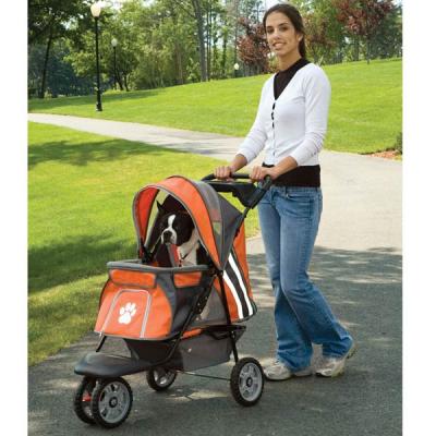 Buggy RD Oranje