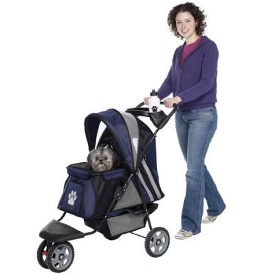 Buggy RD Blauw