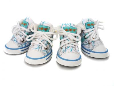 4 Schoentjes blauw mt2