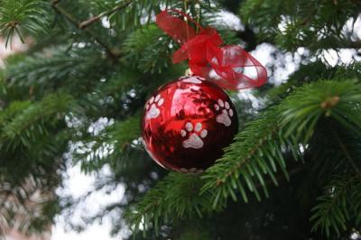 Kerstbal rood met poot p/6