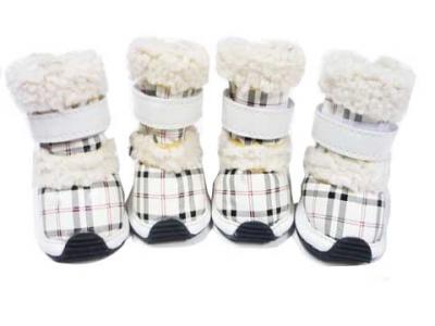 4 Schoentjes Burberry mt5