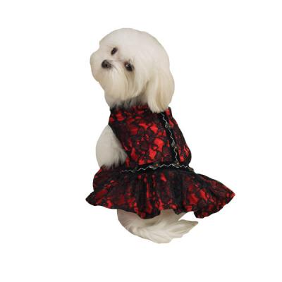 Lace Flamenco rood mt S
